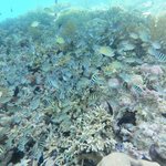 Photo taken by Izabella L