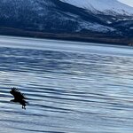 Photo taken by Dawn K