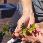 Photo taken by Jessy Elizabeth V