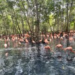 Photo taken by Veronica T