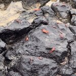 Photo taken by Ben S