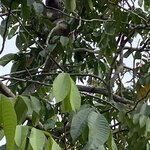 Photo taken by Stephanie S