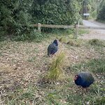 Photo taken by Gabrielle H