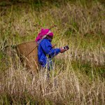 Photo taken by Peter M