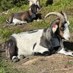 Photo taken by fred y