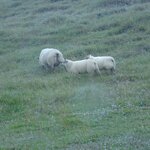 Photo taken by Kevin S