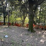 Photo taken by Marianne O