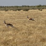 Photo taken by Joaquin M