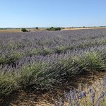 Photo taken by Lyon K