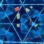 Photo taken by Krystle C