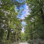 Photo taken by Shelly N