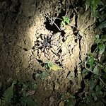 Photo taken by Chris G