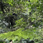 Photo taken by Sheila G