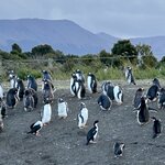 Photo taken by Hannah L