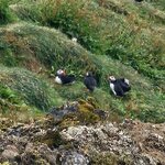 Photo taken by Ken J