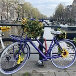 Photo taken by Shannon F