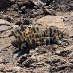 Photo taken by Sharon J