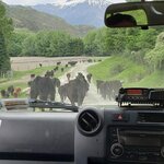 Photo taken by kevin c