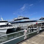 Photo taken by Kelsey D