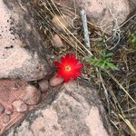 Photo taken by alton r