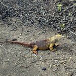 Photo taken by Gary W