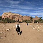 Photo taken by colleen o