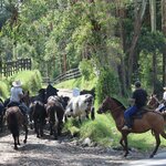 Photo taken by Miranda M