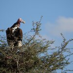 Photo taken by Sandro P