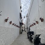 Photo taken by Dorothy Paz L