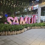 Photo taken by Audrea H