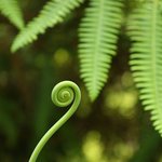 Photo taken by Peter S