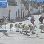 Photo taken by Mariah M