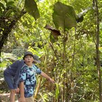 Photo taken by Patrice G