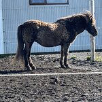 Photo taken by Nan K