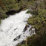 Photo taken by Marcia G