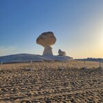 Photo taken by Kim M