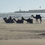 Photo taken by ANDREW L