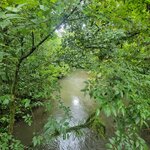 Photo taken by Darla D