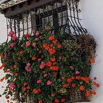 Photo taken by Tom K