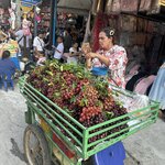 Photo taken by Collins M