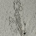 Photo taken by Rosemary S