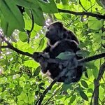 Photo taken by Tom K