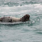 Photo taken by Amanda Z