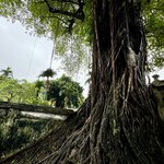 Photo taken by Mylan L