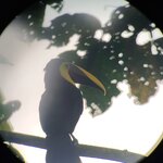 Photo taken by Bryan D