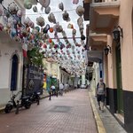 Photo taken by Sharon N