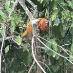 Photo taken by Joanne C