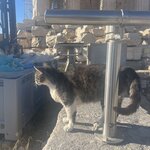 Photo taken by Angela R