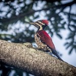 Photo taken by Graham D