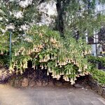 Photo taken by Jamie M